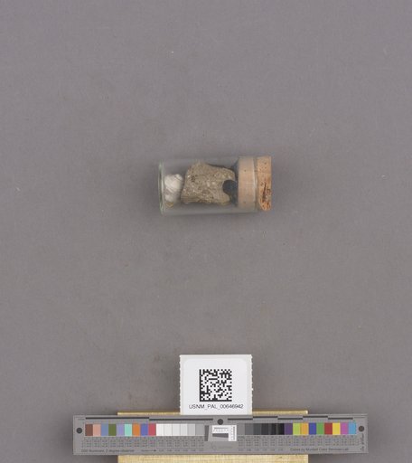 NSF ADBC EPICC TCN