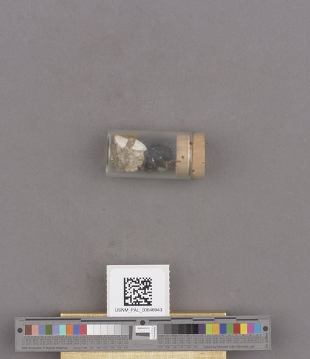 NSF ADBC EPICC TCN