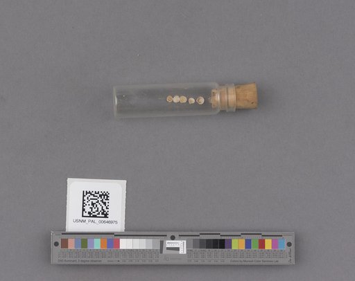 NSF ADBC EPICC TCN