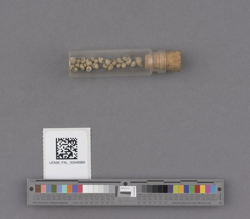 NSF ADBC EPICC TCN