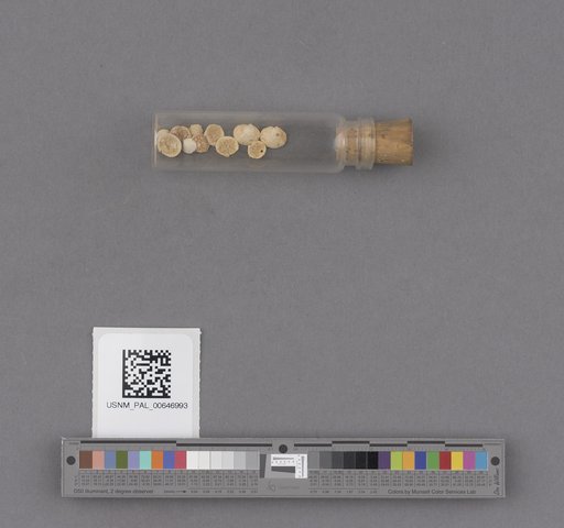 NSF ADBC EPICC TCN