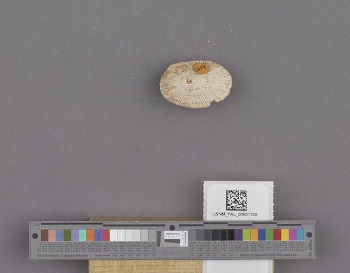 NSF ADBC EPICC TCN