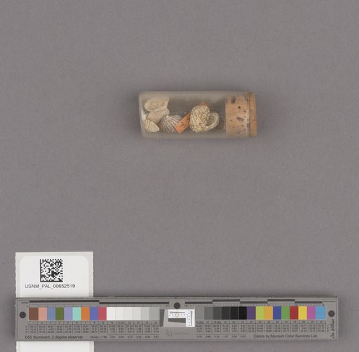 NSF ADBC EPICC TCN