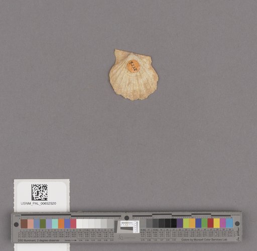 NSF ADBC EPICC TCN