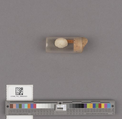 NSF ADBC EPICC TCN