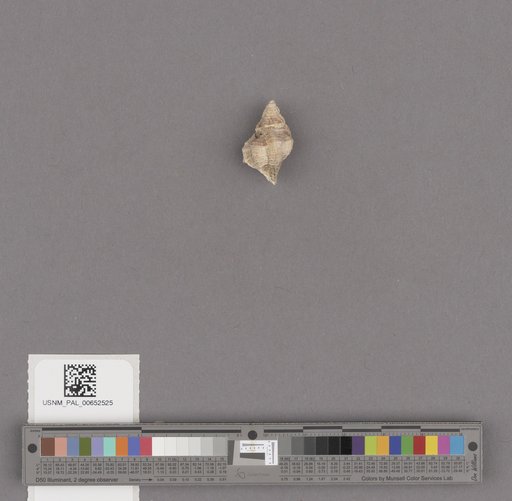 NSF ADBC EPICC TCN