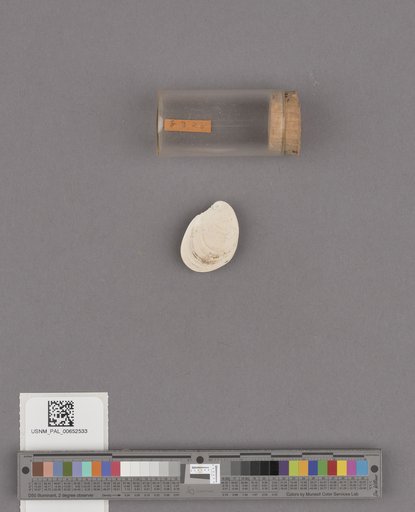 NSF ADBC EPICC TCN