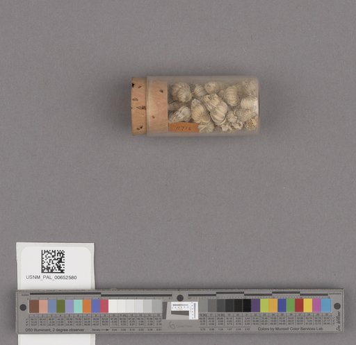NSF ADBC EPICC TCN