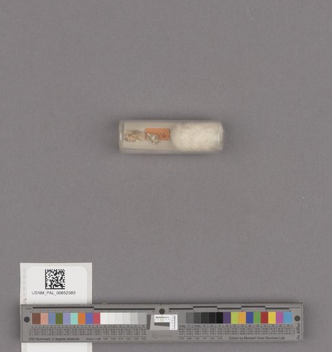 NSF ADBC EPICC TCN