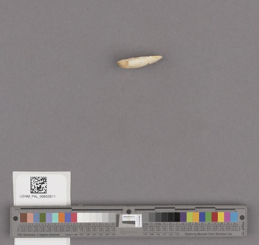 NSF ADBC EPICC TCN