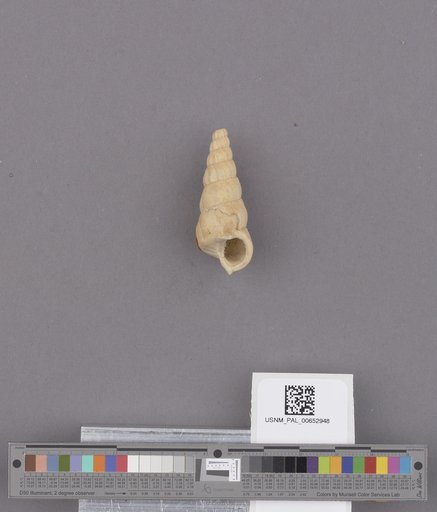 NSF ADBC EPICC TCN