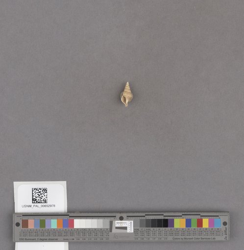 NSF ADBC EPICC TCN