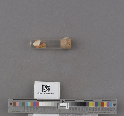NSF ADBC EPICC TCN