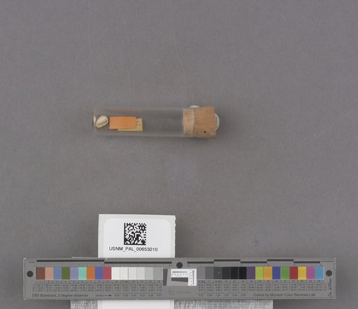 NSF ADBC EPICC TCN