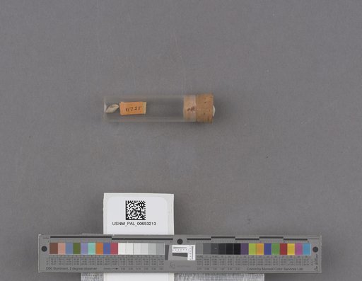 NSF ADBC EPICC TCN