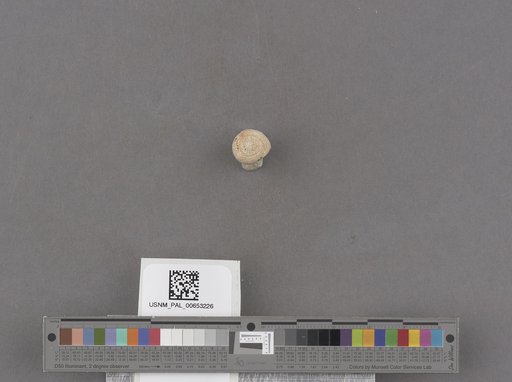 NSF ADBC EPICC TCN