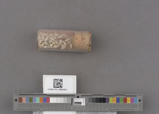 NSF ADBC EPICC TCN