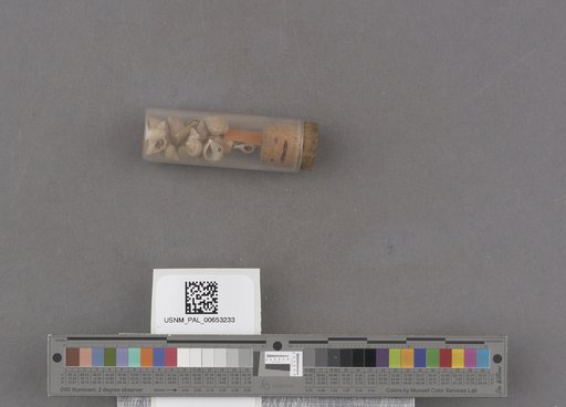 NSF ADBC EPICC TCN