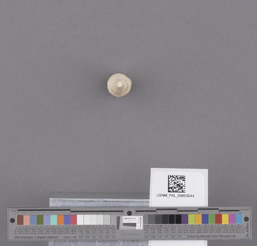 NSF ADBC EPICC TCN