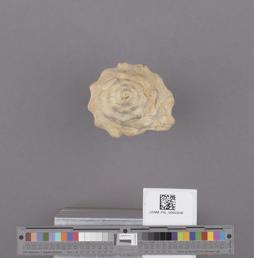 NSF ADBC EPICC TCN
