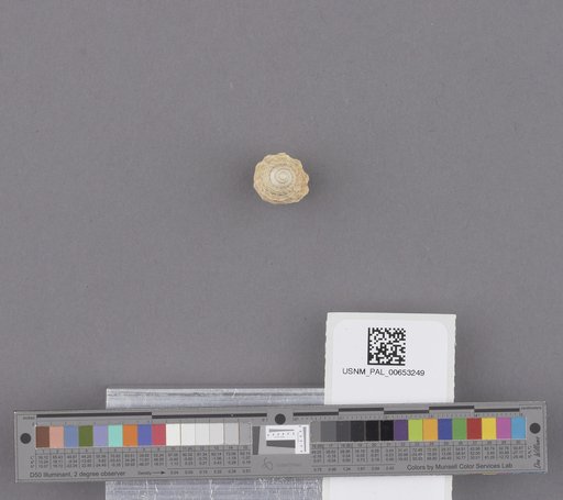 NSF ADBC EPICC TCN