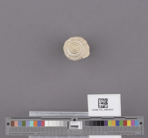 NSF ADBC EPICC TCN