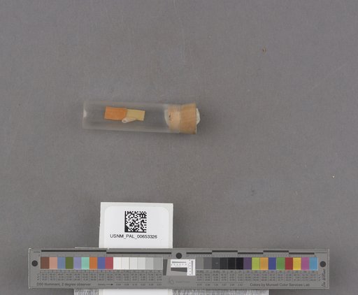 NSF ADBC EPICC TCN