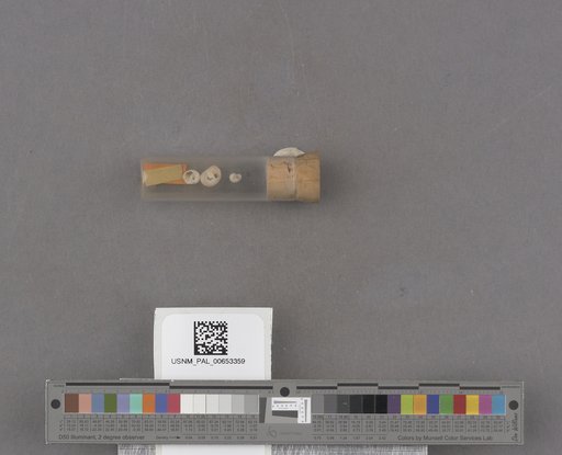 NSF ADBC EPICC TCN