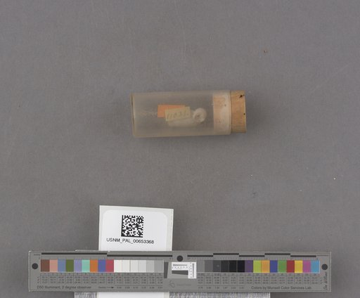NSF ADBC EPICC TCN