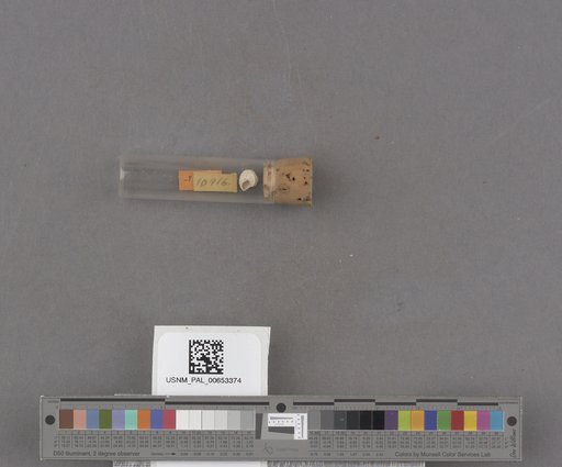 NSF ADBC EPICC TCN