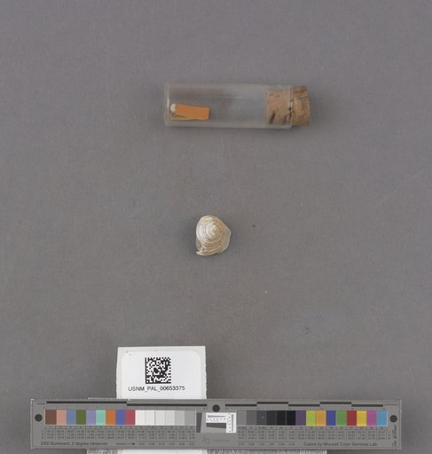 NSF ADBC EPICC TCN