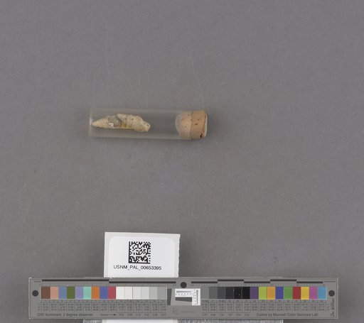 NSF ADBC EPICC TCN