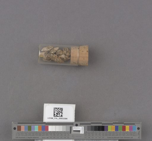 NSF ADBC EPICC TCN