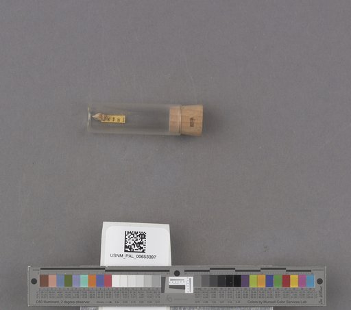 NSF ADBC EPICC TCN