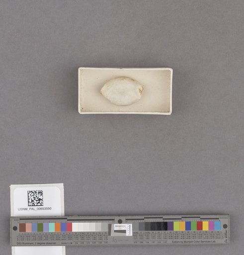 NSF ADBC EPICC TCN