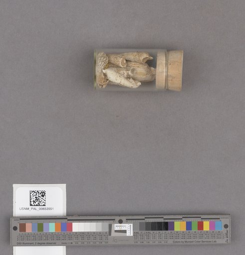 NSF ADBC EPICC TCN
