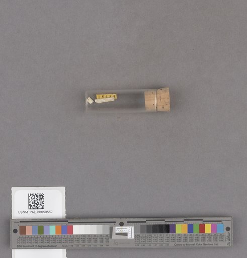 NSF ADBC EPICC TCN