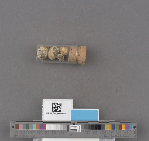 NSF ADBC EPICC TCN