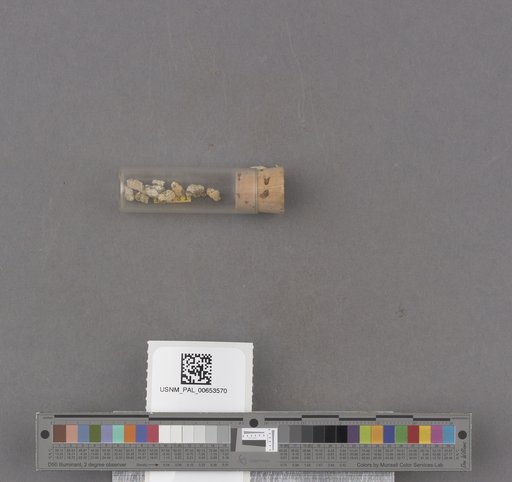 NSF ADBC EPICC TCN