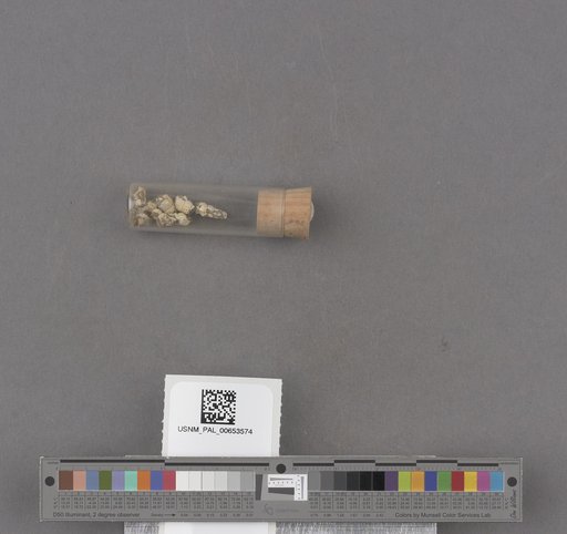 NSF ADBC EPICC TCN