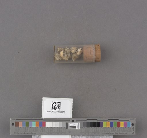 NSF ADBC EPICC TCN