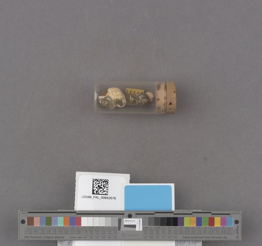 NSF ADBC EPICC TCN