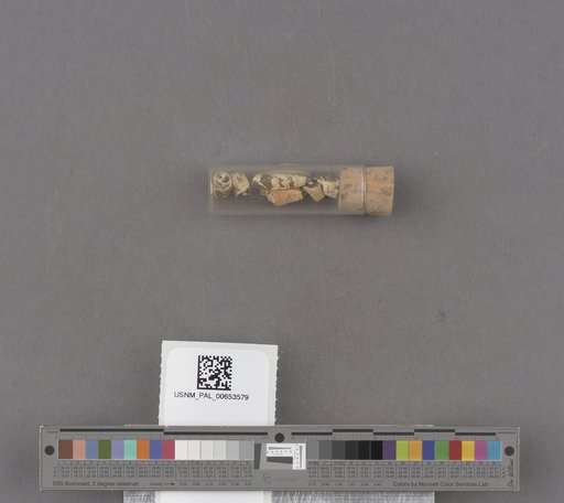 NSF ADBC EPICC TCN