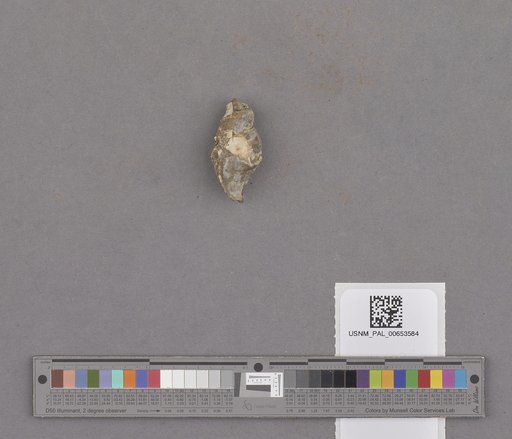 NSF ADBC EPICC TCN