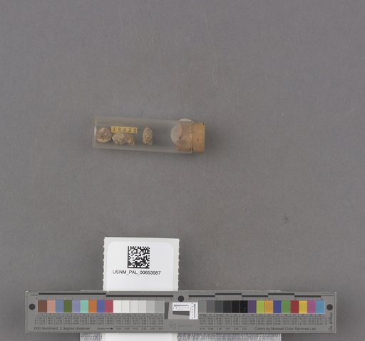 NSF ADBC EPICC TCN
