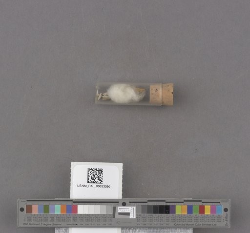 NSF ADBC EPICC TCN