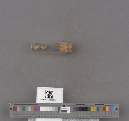 NSF ADBC EPICC TCN