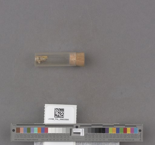 NSF ADBC EPICC TCN