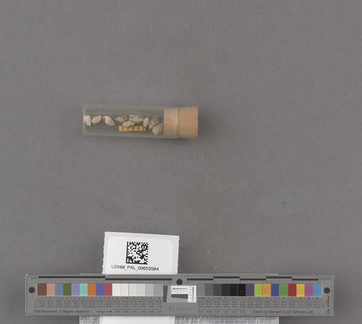 NSF ADBC EPICC TCN