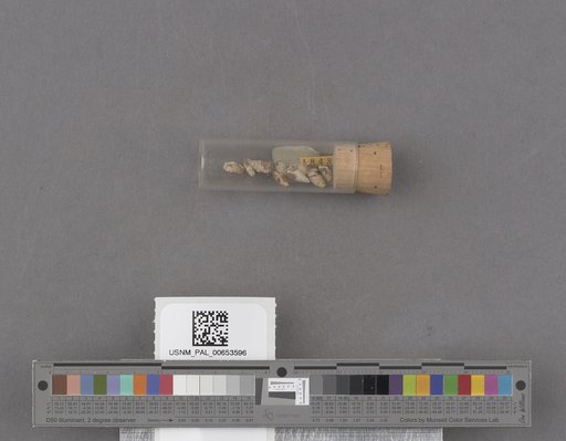 NSF ADBC EPICC TCN